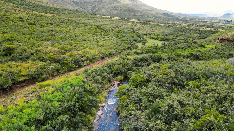 4 Bedroom Property for Sale in Lady Grey Eastern Cape